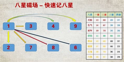 数字能量学|数字能量学：组合数字与易经的奥秘，探索生命密码